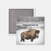 Yellowstone Snowy Buffalo Magnet (Voorkant / Achterkant)