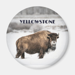 Yellowstone Snowy Buffalo Souvenir Magnet