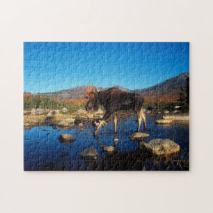 Yellowstone Spel Puzzel
