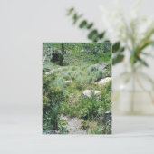 Yellowstone Summer Briefkaart (Staand voorkant)