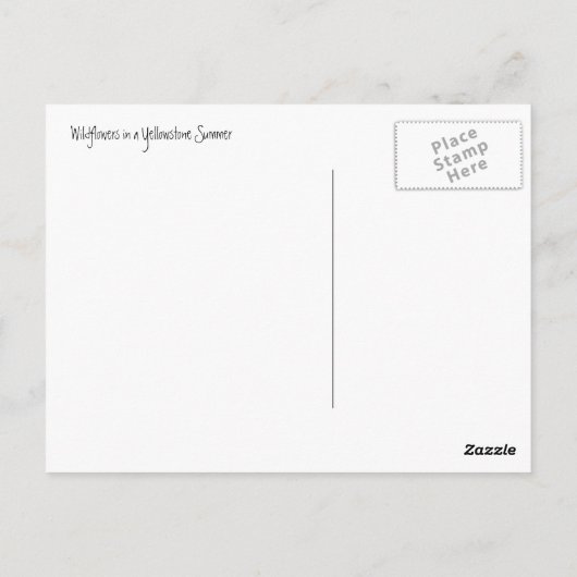 Yellowstone Summer Briefkaart (Achterkant)