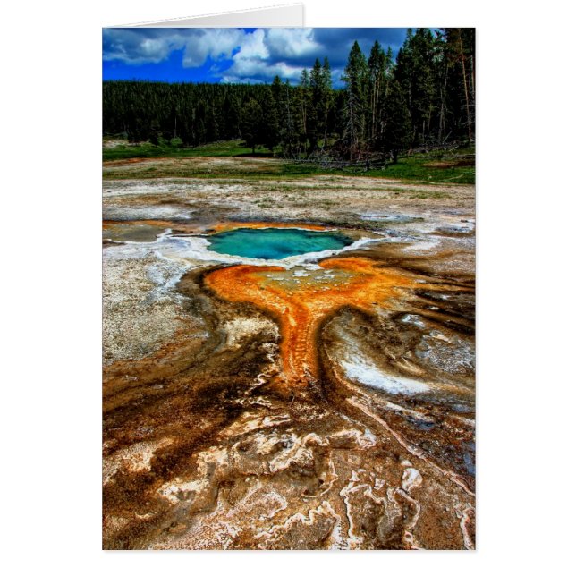 Yellowstone Thermal Pool (Voorkant)