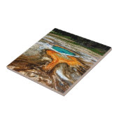 Yellowstone Thermal Pool Tegeltje (Zijkant)