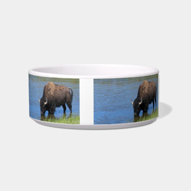Yellowstone Wilde Buffalo in Pond Voerbakje (Rechts)