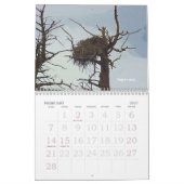 Yellowstone Wildlife 2008 Agenda Kalender (Feb 2027)