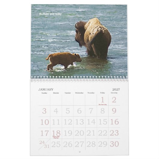 Yellowstone Wildlife 2008 Agenda Kalender (Jan 2027)