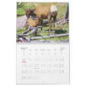Yellowstone Wildlife 2008 Agenda Kalender (Mar 2026)