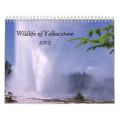 Yellowstone Wildlife Calendar Kalender (Hoes)