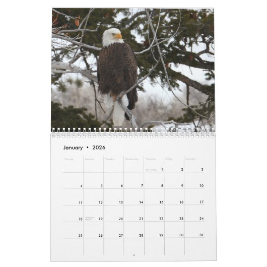 Yellowstone Wildlife Calendar Kalender (Jan 2026)