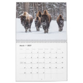Yellowstone Wildlife Calendar Kalender (Mar 2027)
