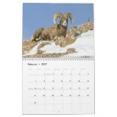 Yellowstone Wildlife Calendar Kalender (Feb 2027)