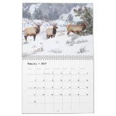 Yellowstone Wildlife Kalender (Feb 2027)