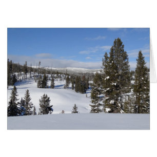 Yellowstone Winter Landscape Foto