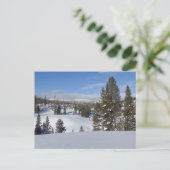 Yellowstone Winter Landscape Foto Briefkaart (Staand voorkant)