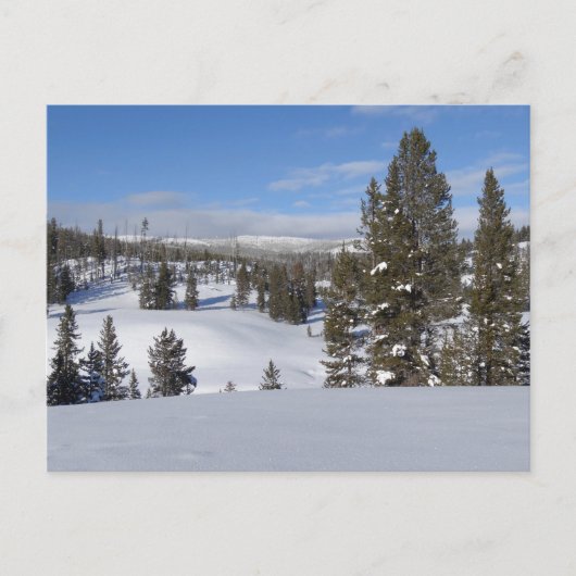 Yellowstone Winter Landscape Foto Briefkaart (Voorkant)