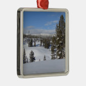 Yellowstone Winter Landscape Foto Metalen Ornament (Rechts)
