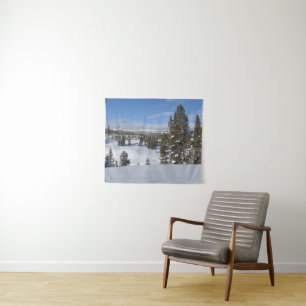 Yellowstone Winter Landscape Foto Wandkleed