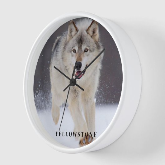 Yellowstone Wolf (Hoek)