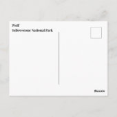 Yellowstone Wolf Briefkaart (Achterkant)