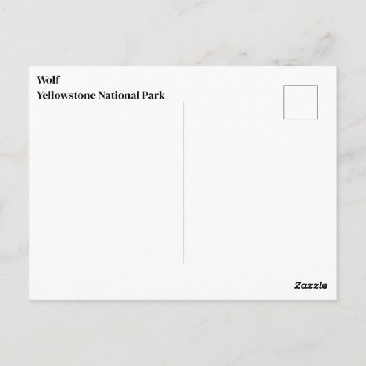 Yellowstone Wolf Briefkaart (Achterkant)