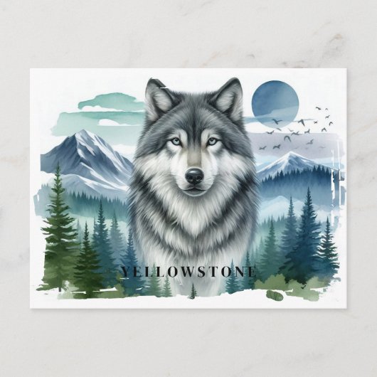 Yellowstone Wolf Briefkaart (Voorkant)