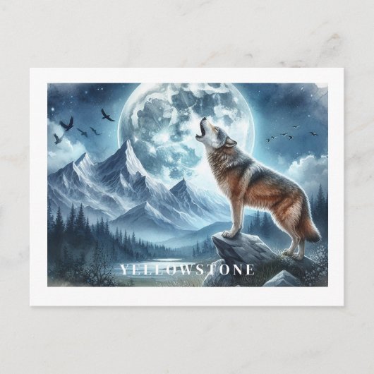 Yellowstone Wolf Briefkaart (Voorkant)