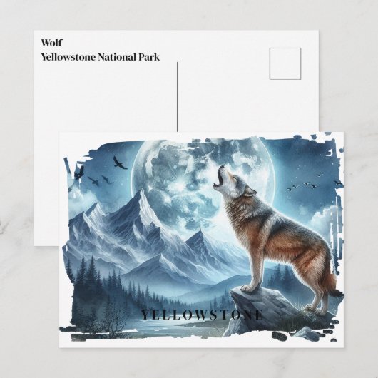 Yellowstone Wolf Briefkaart (Voorkant / Achterkant)