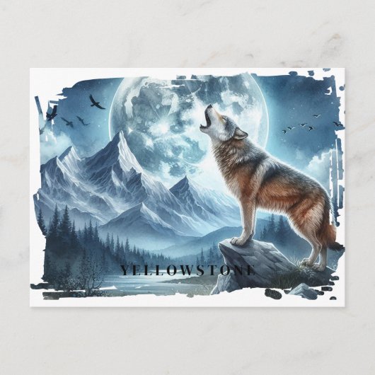 Yellowstone Wolf Briefkaart (Voorkant)