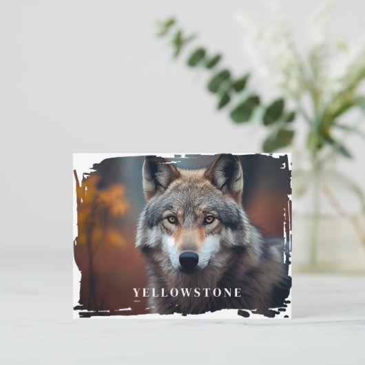 Yellowstone Wolf Briefkaart (Staand voorkant)