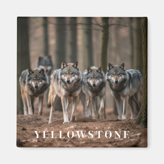 Yellowstone Wolf Maanmagneet Magneet (Voorkant)
