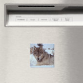 Yellowstone Wolf Magneet (Insitu (Vaatwasser))