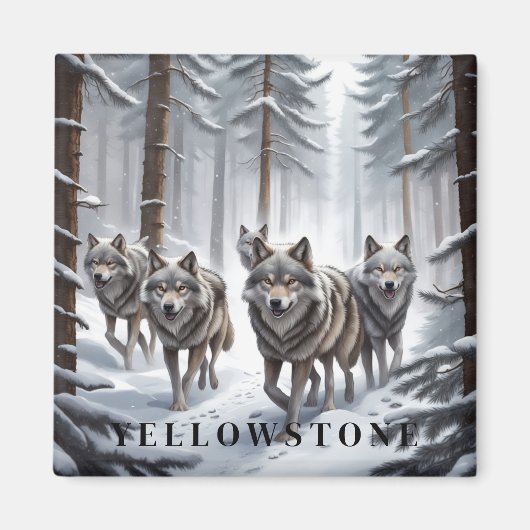 Yellowstone Wolf Magnet (Voorkant)