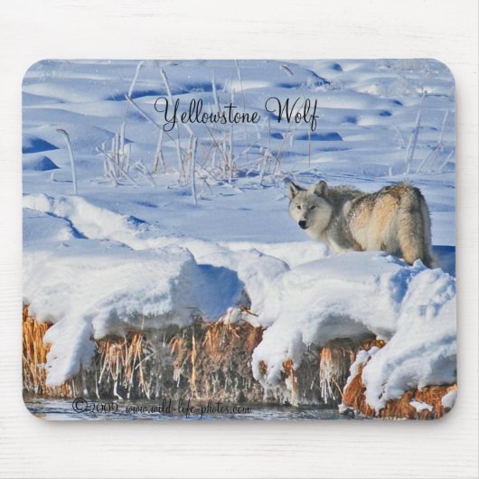 Yellowstone Wolf Mousepad Muismat (Voorkant)