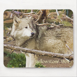 Yellowstone Wolf Muismat