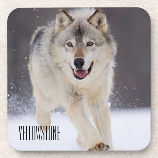 Yellowstone Wolf Onderzetter Set (Voorkant)