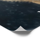 Yellowstone Wolf Poster (Hoek)