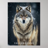 Yellowstone Wolf Poster (Voorkant)