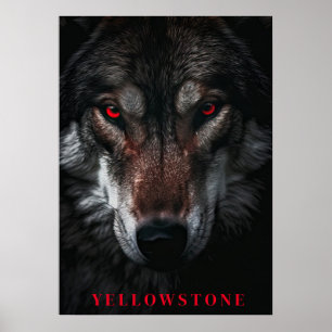 Yellowstone Wolf Poster Kunst