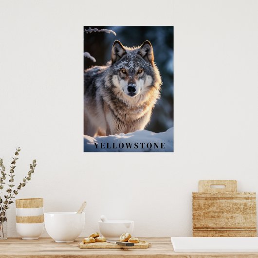 Yellowstone Wolf Poster Kunst (Keuken)