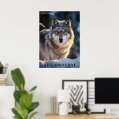 Yellowstone Wolf Poster Kunst (Thuiskantoor)