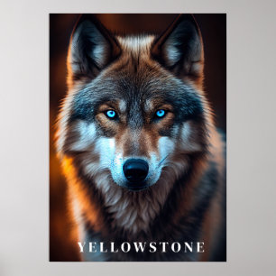 Yellowstone Wolf Poster Kunst