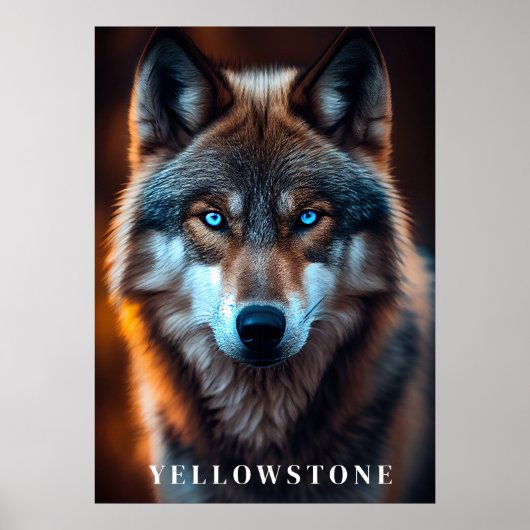 Yellowstone Wolf Poster Kunst (Voorkant)