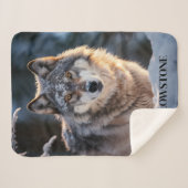 Yellowstone Wolf Sherpa Blanket Throw (Voorkant (horizontaal))