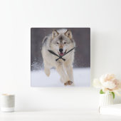 Yellowstone Wolf Vierkante Klok (Huis)