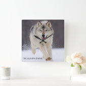 Yellowstone Wolf Vierkante Klok (Huis)