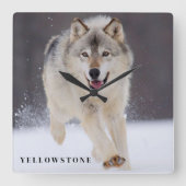 Yellowstone Wolf Vierkante Klok (Voorkant)