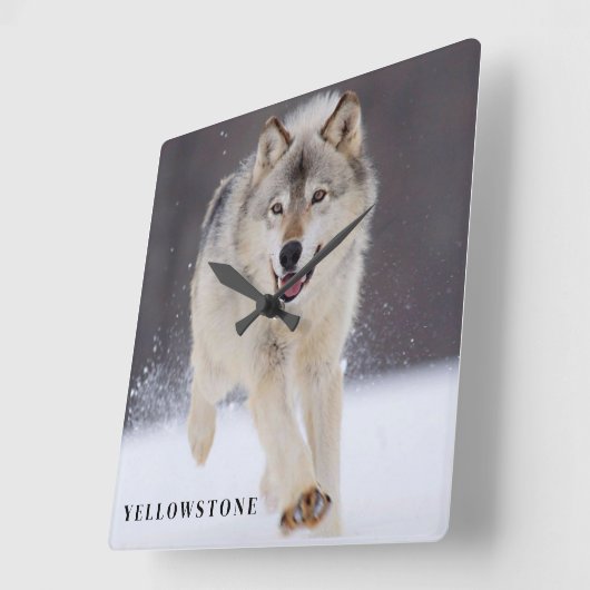 Yellowstone Wolf Vierkante Klok (Hoek)