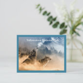 Yellowstone Wolves-Briefkaart Briefkaart (Staand voorkant)