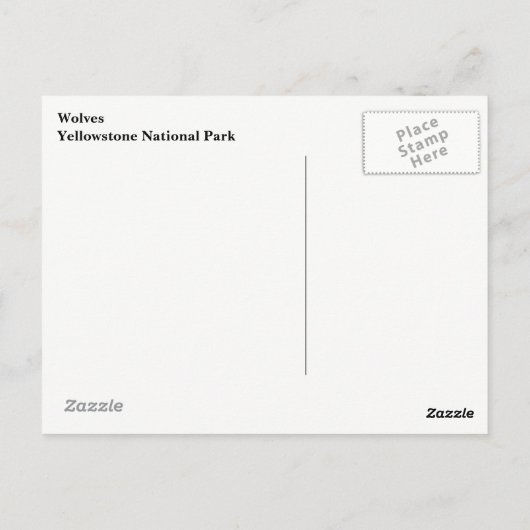Yellowstone Wolves-Briefkaart Briefkaart (Achterkant)