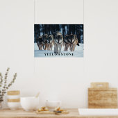 Yellowstone Wolves Poster Kunst (Keuken)